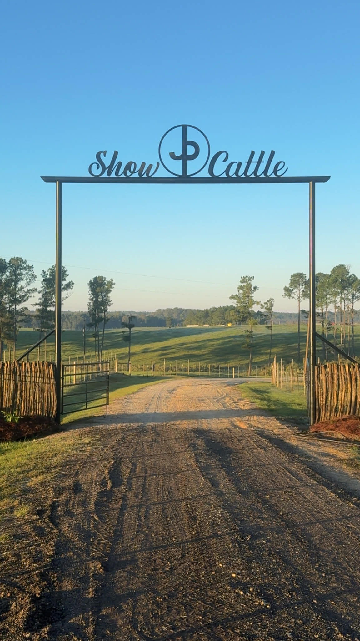 CNC Plasma Cutting - Image 6